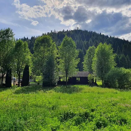 Guest house Finkenhof Schluchsee