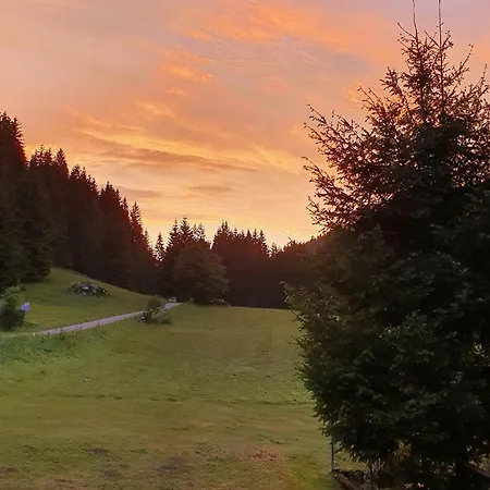 Finkenhof *