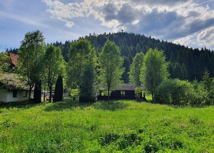 Penzion Finkenhof Schluchsee